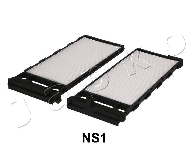 21NS1