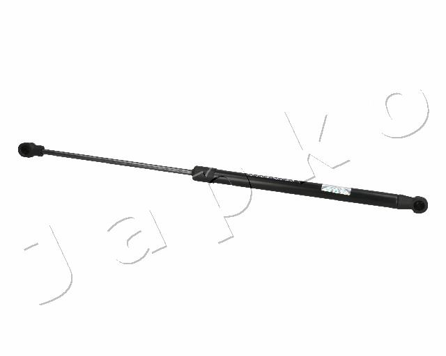 ZSJ06095