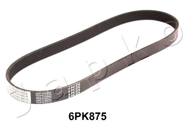 6PK0875