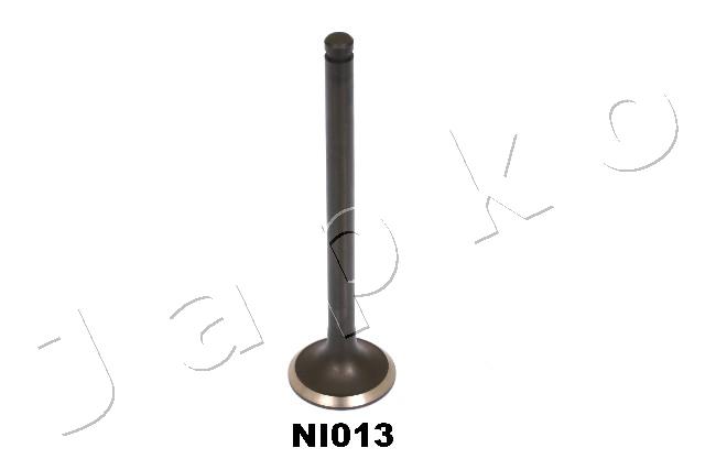 5NI013