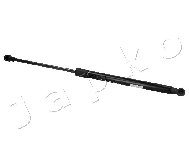 ZSJ07061