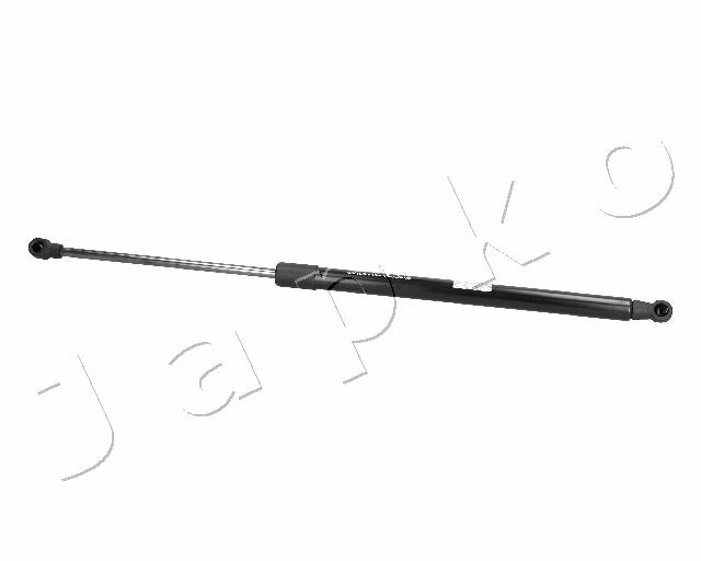 ZSJ06089