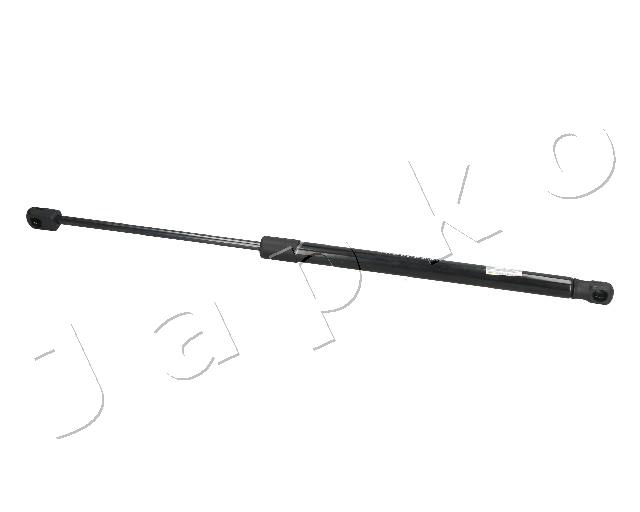 ZSJ09051