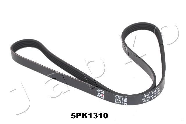 5PK1310