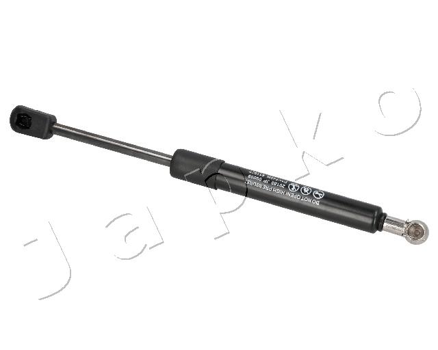 ZSJ09009