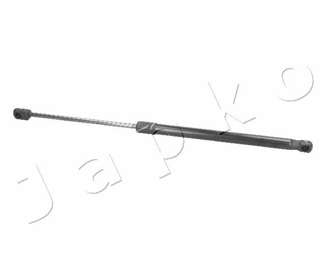 ZSJ09145