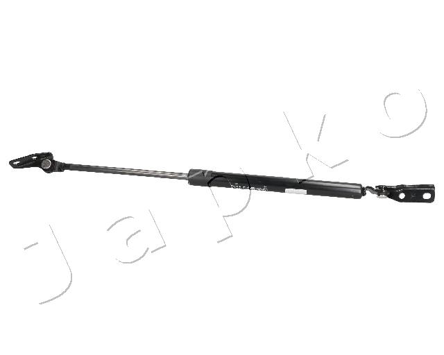 ZSJ80011