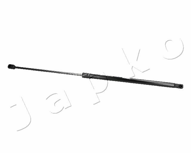 ZSJ06079