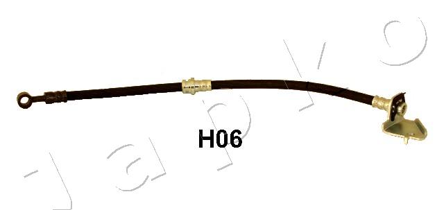 69H06