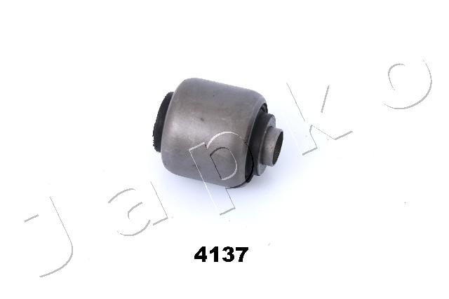 GOJ4137