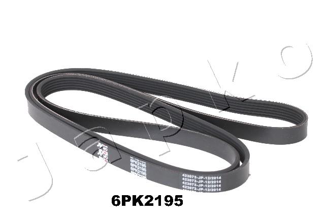 6PK2195