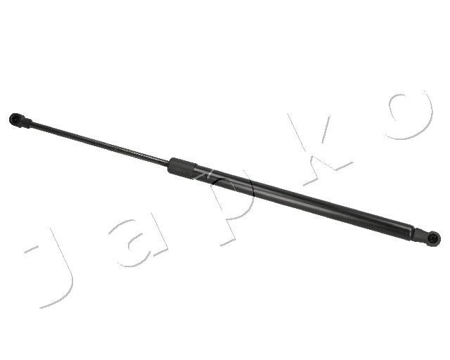 ZSJ07047