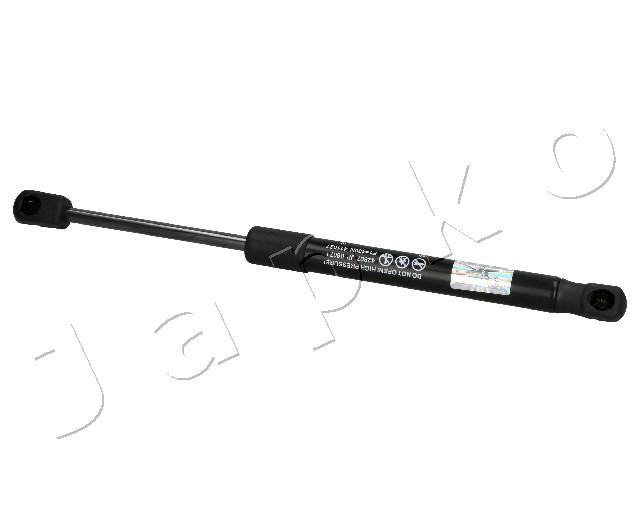 ZSJ06071