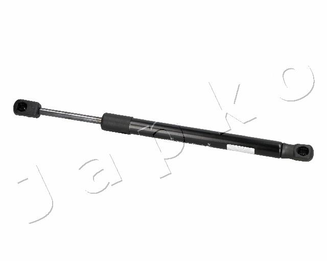 ZSJ06016