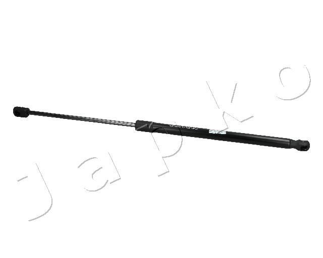 ZSJ10025