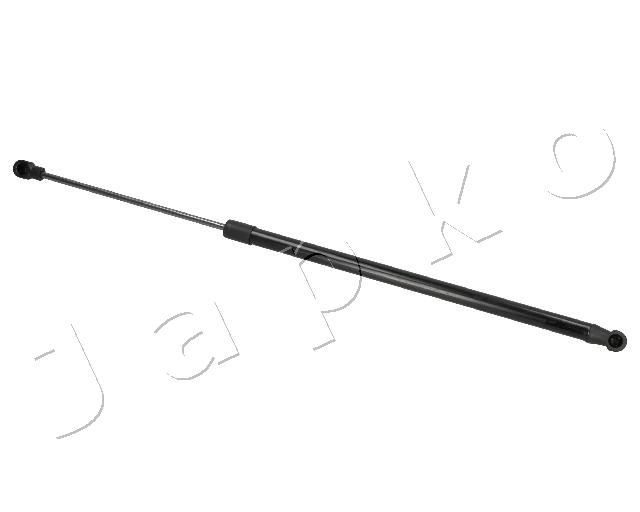 ZSJ07068
