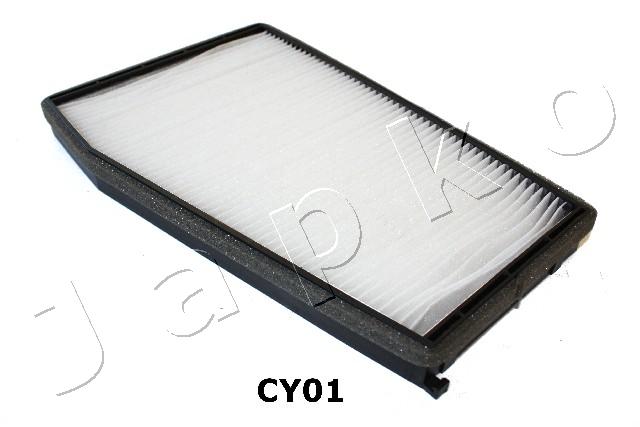 21CY01