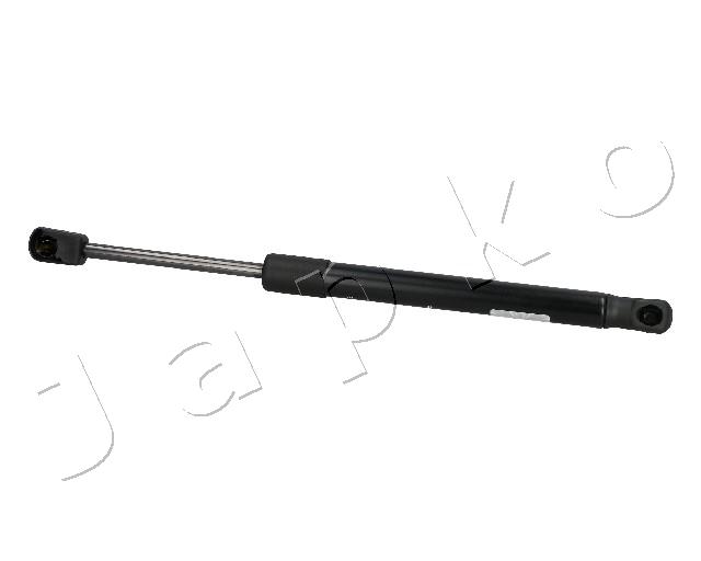ZSJ10011