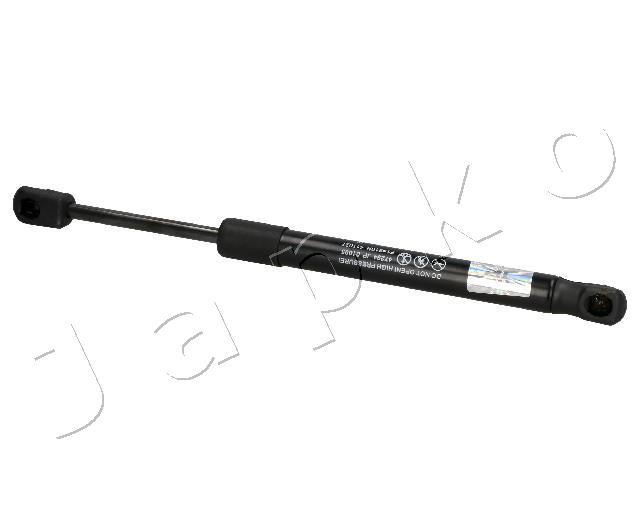 ZSJ01095