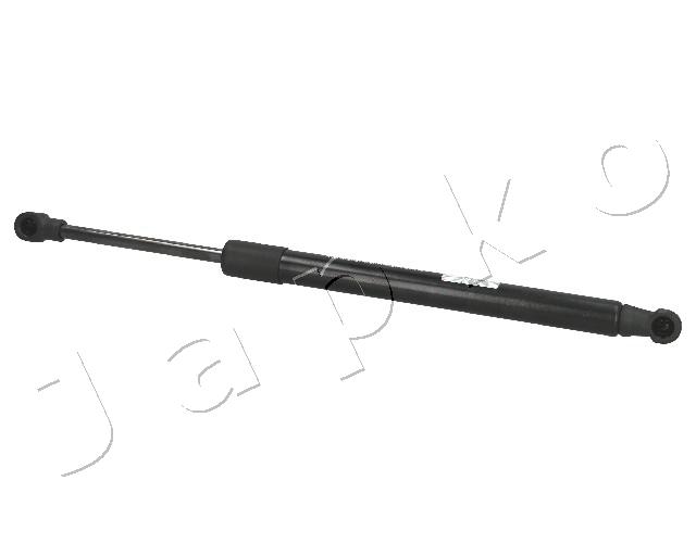 ZSJ01005