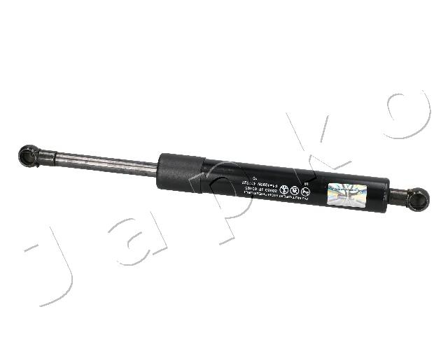 ZSJ03095