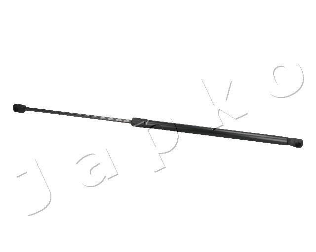 ZSJ09021