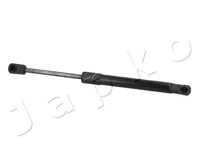 ZSJ09110