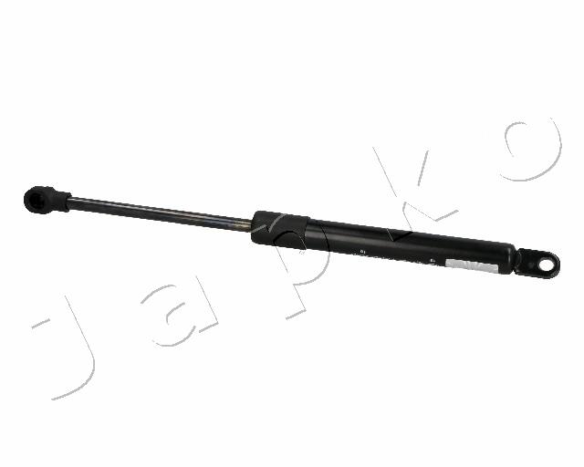ZSJ06008