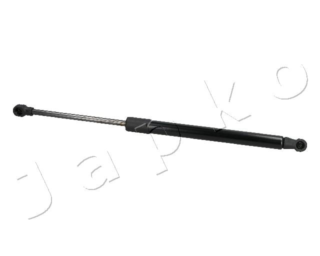 ZSJ06007