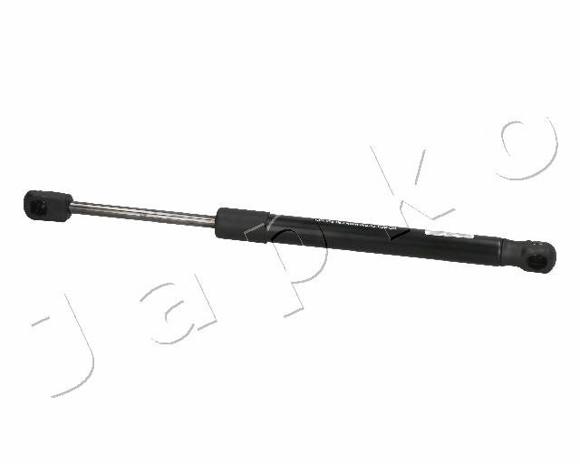ZSJ06069
