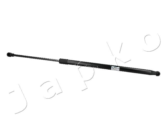 ZSJ10019