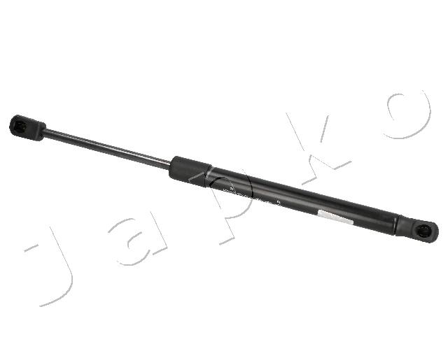 ZSJ09010