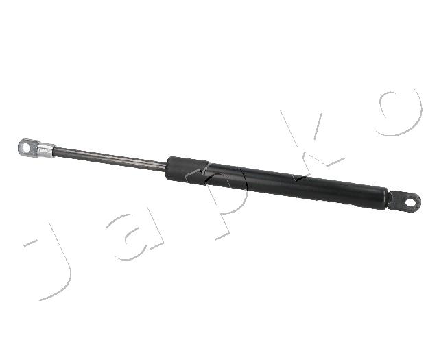 ZSJ09096