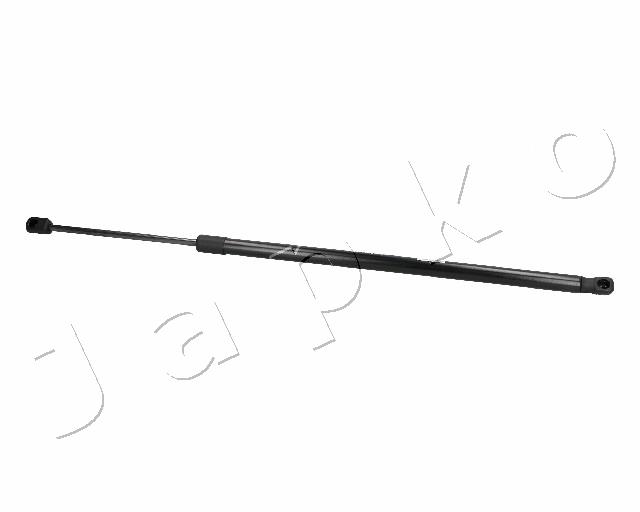 ZSJ06074