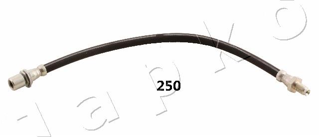 69250