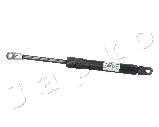ZSJ09099
