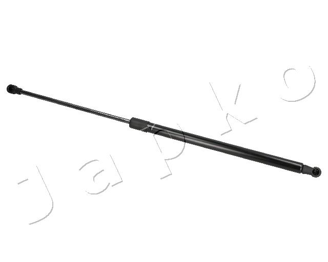 ZSJ07067