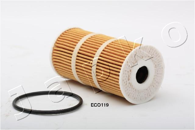 1ECO119