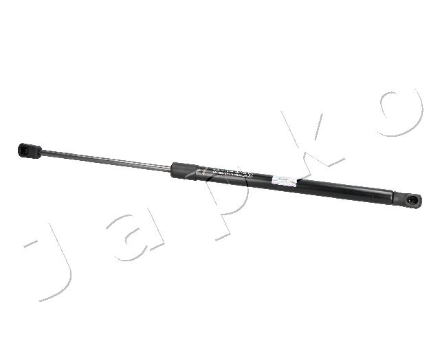 ZSJ09124