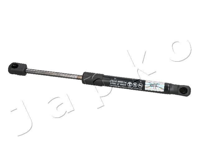 ZSJ09095