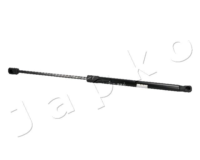 ZSJ20007