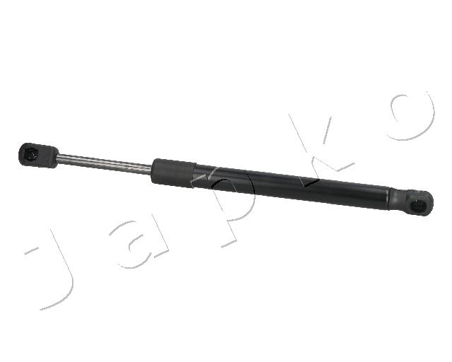ZSJ09058