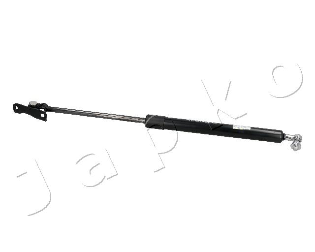 ZSJ20005