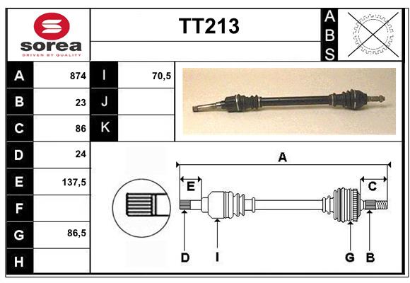 TT213