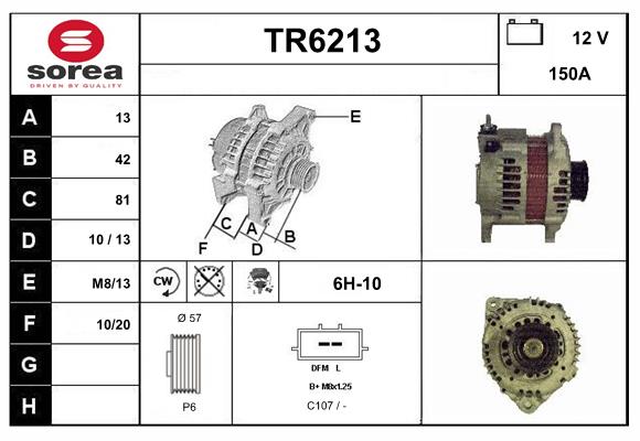 TR6213