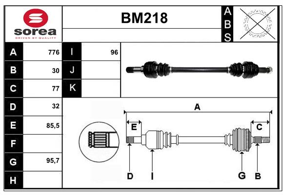 BM218