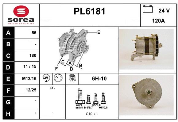 PL6181