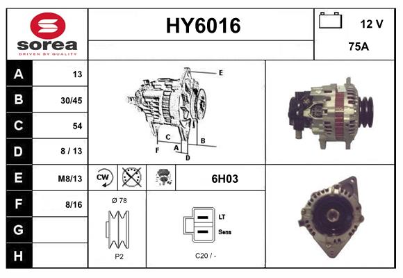 HY6016
