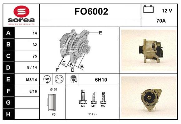 FO6002