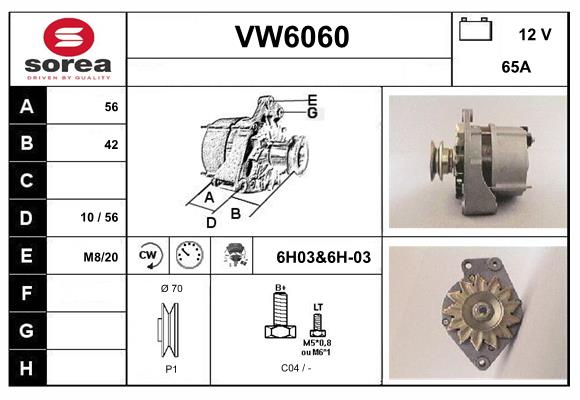 VW6060